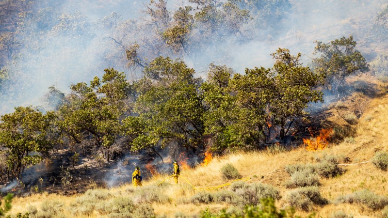 Wildfire Workers in Utah